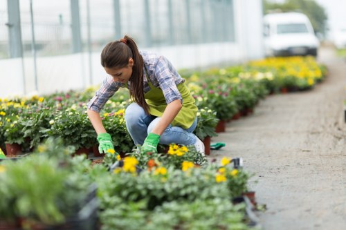 Team of gardeners assessing a garden site with equipment