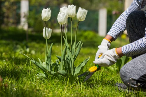 Gardener inspecting a garden bed