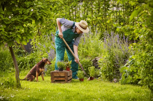 Professional tree lopping service in Stratford