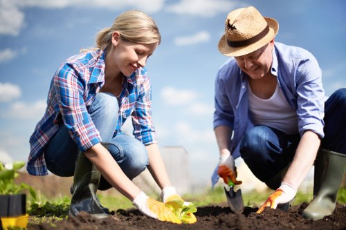 Professional lawn mowing service in Stratford