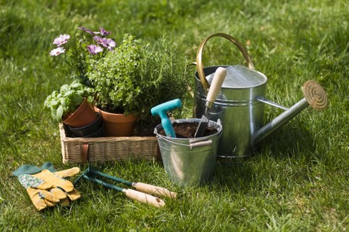 Long-term garden planning with Stratford gardeners