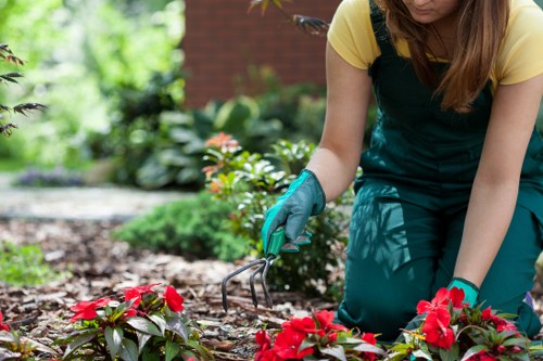 Maintaining a wooden deck with cleaning and sealing