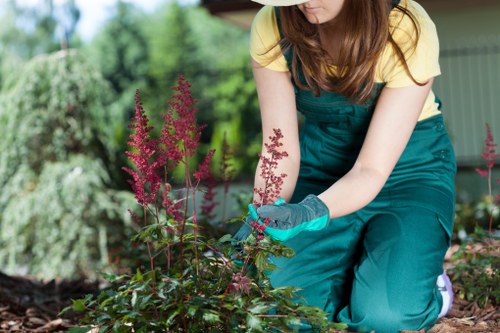 Seasonal lawn care practices for Stratford
