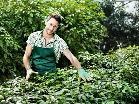 Innovative landscaping solutions in a Stratford garden