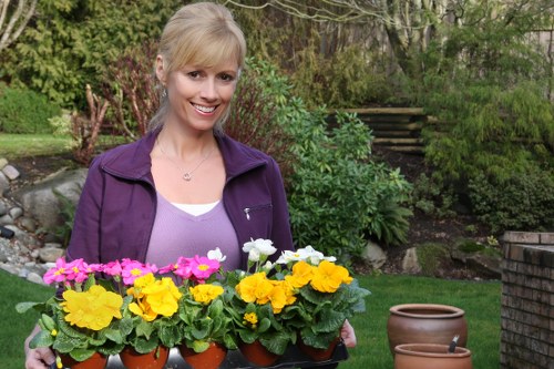 Selection of native and seasonal plants for Stratford gardens