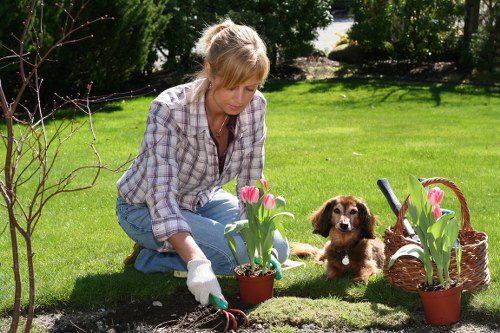 Planning a garden clearance