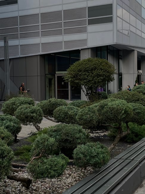 Photograph of a well-maintained garden fronting a Westfield shop in Stratford, featuring a neat lawn area with freshly trimmed grass bordered by low, manicured hedges. The garden beds contain a variet